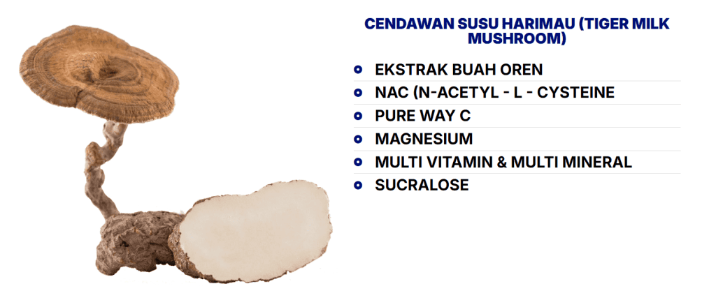 Wild tiger milk mushroom medicine supplement for health benefits.